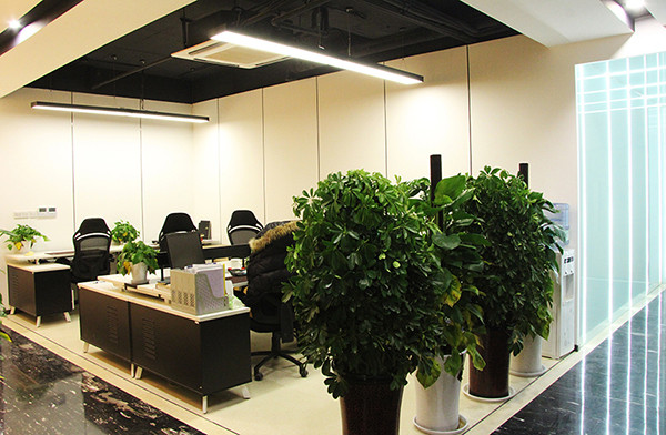 西安博物馆设计