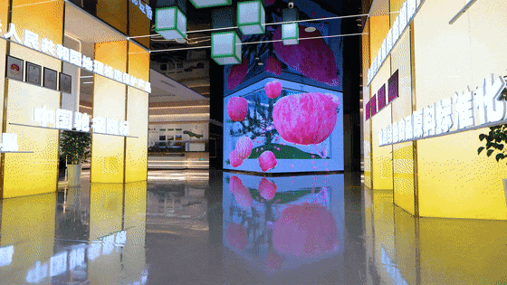 苹果展厅设计施工-甘肃静宁苹果苹果科创馆
