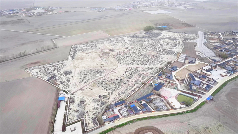 遗址文物展馆设计施工丨新疆达勒特古城遗址文物陈列馆