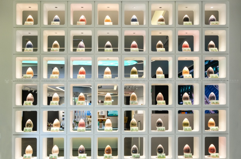 陕西种业集团·杨凌秦丰种业企业展厅落地 陕西种业集团·杨凌秦丰种业企业展厅落地